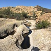 photo thumbnail #4