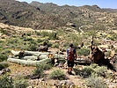 photo thumbnail #12