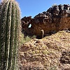 photo thumbnail #13