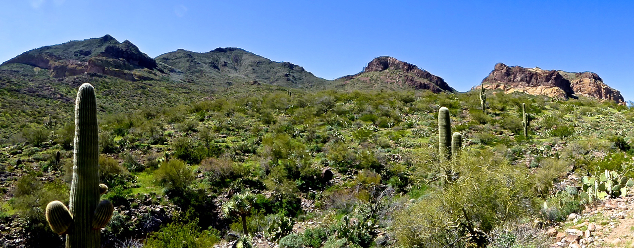 Sawyer Peak 4293 - Black Mtns - Tres Alamos, AZ | HikeArizona