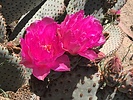 photo thumbnail #1