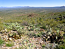 2019-03-30 :1: Sawyer Peak 4293 - Black Mtns - Tres Alamos :: FLYING_FLIVER