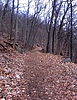 photo thumbnail #1