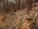 photo thumbnail #6
