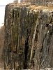 photo thumbnail #12