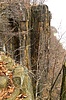 photo thumbnail #15