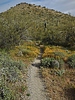 photo thumbnail #8