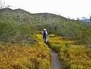 photo thumbnail #13