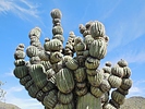 photo thumbnail #10