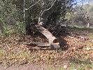 photo thumbnail #2