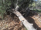 photo thumbnail #1