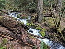 photo thumbnail #3