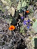 photo thumbnail #4