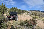 photo thumbnail #1