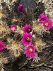photo thumbnail #1
