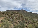 photo thumbnail #2