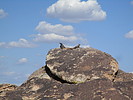 photo thumbnail #6