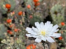 photo thumbnail #15