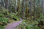 photo thumbnail #14