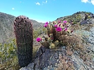 photo thumbnail #2