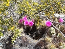 photo thumbnail #5
