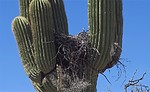 photo thumbnail #5