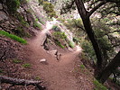 photo thumbnail #12