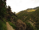 photo thumbnail #14