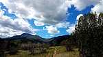 photo thumbnail #9