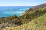 recent photo