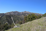 photo thumbnail #10