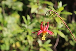 photo thumbnail #11