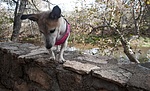photo thumbnail #3