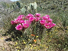 photo thumbnail #2