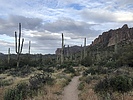 photo thumbnail #3