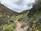 photo thumbnail #4