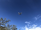 photo thumbnail #10