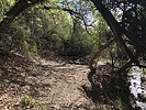 photo thumbnail #14