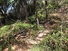 photo thumbnail #15