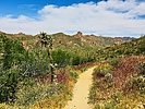 photo thumbnail #1
