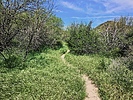 photo thumbnail #9