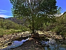 photo thumbnail #11
