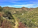 photo thumbnail #14