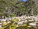 photo thumbnail #15