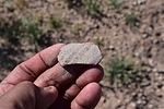 photo thumbnail #6