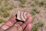 photo thumbnail #10