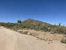 photo thumbnail #3