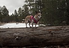 photo thumbnail #3