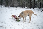 photo thumbnail #7