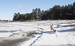 photo thumbnail #12